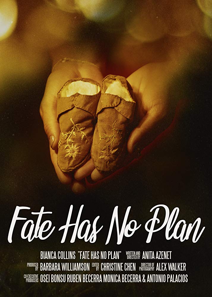 Taproot Audio Design | Fate Has No Plan - Taproot Audio Design